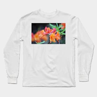 Pink And Peach Wild Azaleas Long Sleeve T-Shirt